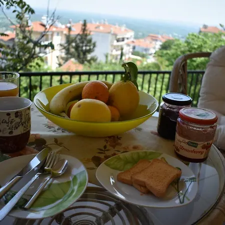 Small Apartment, Great View! *