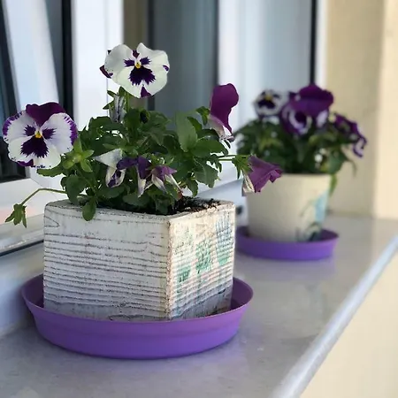 Small Apartment, Great View! فيريا