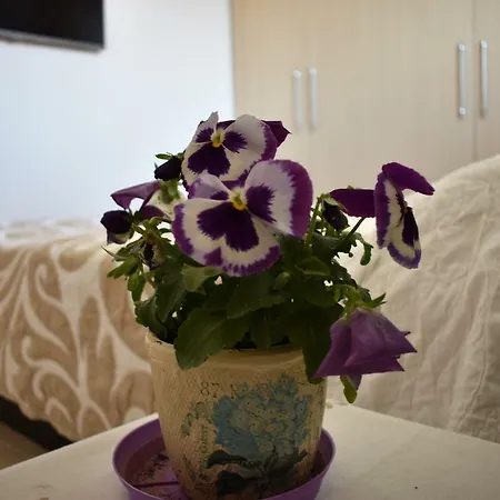 شقة Small Apartment, Great View!