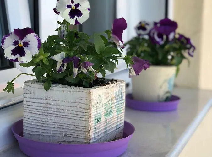 Small Apartment, Great View! Veria (Imathia)